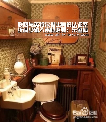 联想与英特尔推出身份认证系统减少输入密码必要:乐鱼体育(图2) leyu sports